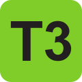 T3